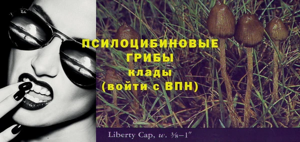 дживик Верея