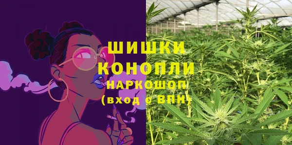 дживик Верея