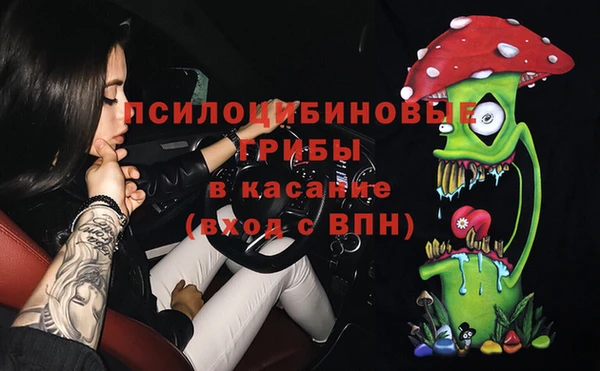 дживик Верея