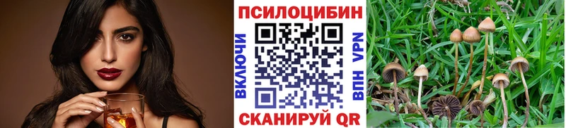 Псилоцибиновые грибы Psilocybine cubensis  где найти наркотики  Торжок 